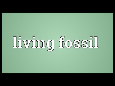 Living fossil Meaning