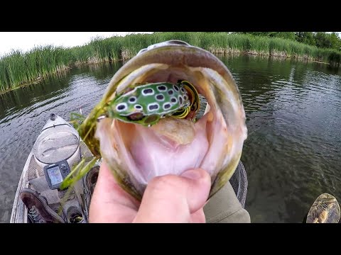 Summer Time Frog Fishing Fun!