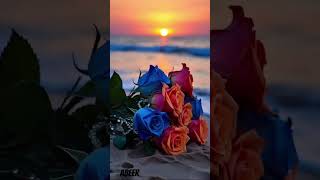 #qurantilawathearttouchingvoice #qurantranslationwordbyword #music #quran