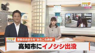 【高知】深夜の繁華街にイノシシ出没、パトカーに突進　目撃者「突進してこられたのは人生で初めて。びっくりした」