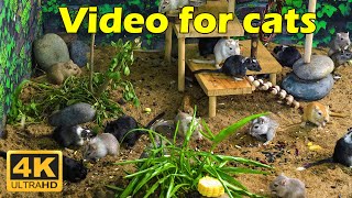 Cat TV: Tiny Mice & Hide & Seek – 3 Hours of Endless Fun for Curious Cats | Catflix