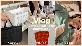 子宮内膜症(チョコレート嚢胞)腹腔鏡手術を受けました。〜ジエノゲスト・入院グッズ〜