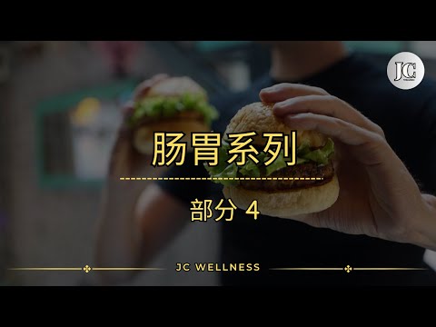 肠胃丨肠胃系列丨部分 4丨口腔消化阶段丨胃消化阶段丨肠消化阶段丨JC WELLNESS