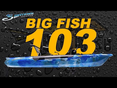 Big Fish 103: Overview