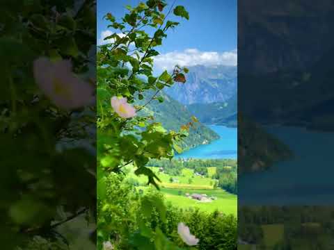 switzerland spring #shorts #switzerland