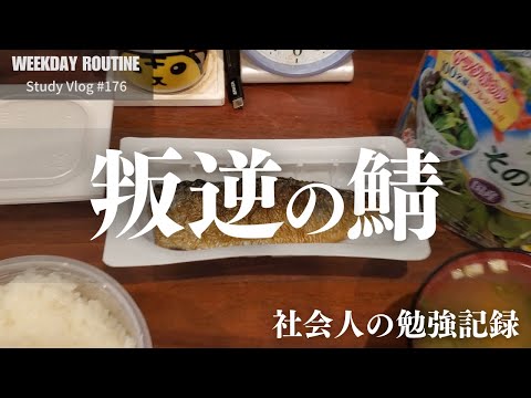 寒さに抗う社会人の勉強記録【社会人勉強Vlog #176】