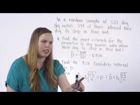 Confidence Intervals for Proportions