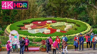 2022 Yangmingshan Flower Festival, Taipei, Taiwan｜4K HDR【台北北投區】陽明山花季