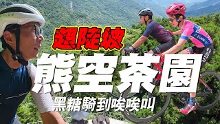 三峽熊空超陡坡/車友推薦避暑好去處/練車休閒兩相宜