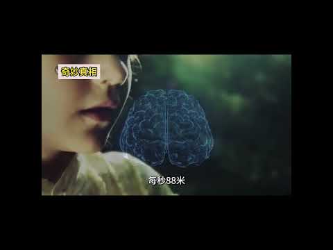 速度2 #世界 #科学