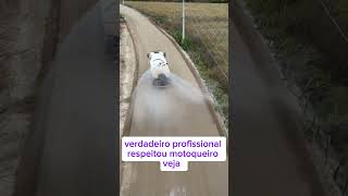 true professional see #shorts #tips #autotips #truck #motor #see