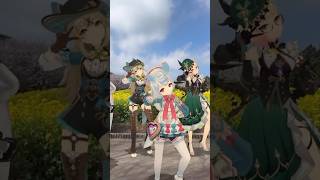 【菜の花を背に シュレ 2/4】黄色い花壇の中で 原神のシグウィンたちが「シュレディンガイガーのこねこ」【原神 GENSHIN 3D AR】