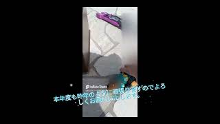 新年一発目！あけおめことよろ