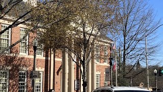 Decatur city commission approves creation of reparations task force