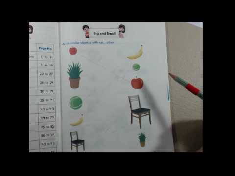 First Grade Math Punjab (Math for Grade 1) Urdu/English P1