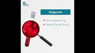 World Thalassemia Day | Causes, Symptoms & Treatment | Apollo Hospitals Guwahati