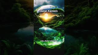 Quran Kareem #wholeinformation