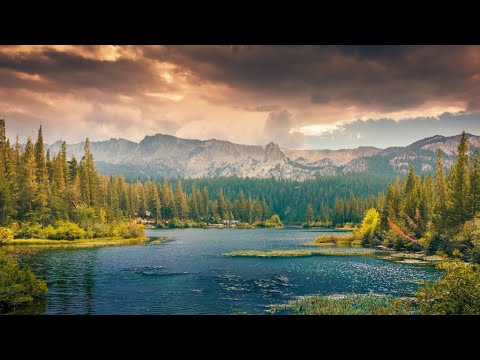 10 longest rivers in the world | Informative video