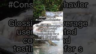 Social media has significantly influenced consumer behavior