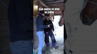 Balance is key #farrier #horse #farrierlife #horsecare #fypage