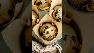 Sourdough Discard muffins 🤤 chocolate chip #sourdoughdiscard #muffinrecipe ##bakingfromscratch