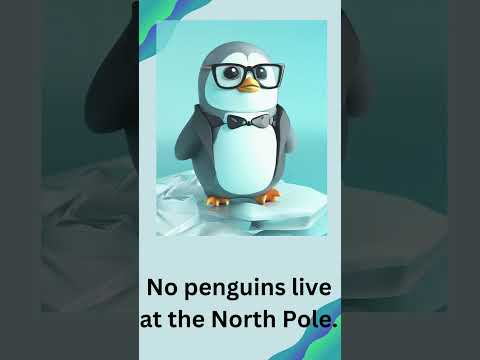 Amazing Facts about penguins. #shorts #worldpenguinday