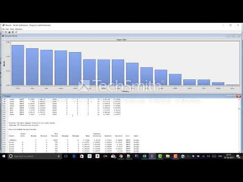SAS Enterprise Miner