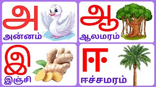 அஆஇஈஉஊஎஏஐஒஓஔ|Uyirezhuthukal|உயிர் எழுத்துக்கள்|A AA E EE|Easy Learn Tamil Alphabet @KuttyChuttyTv