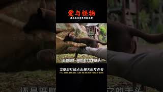 《愛與怪物》：廢土末日世界，廢材“純愛戰士”的冒險求愛之旅 #千面觀影 #恐怖 #驚悚 #影評 #影視解說