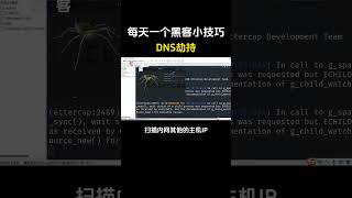 每天一个黑客小技巧之DNS劫持#黑客 #hacker #computer #计算机 #熱門
