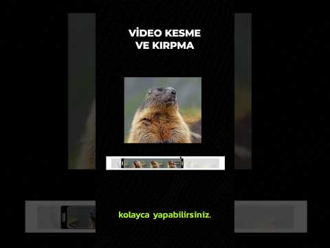 Video Kesme  & Kırpma - #işbirliği