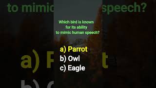 General Knowledge Quiz I  #english #gklearning #shorts #onlinequiz