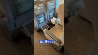 [JR Tokaido Shinkansen] "I got on first! I ran through the last train at full speed after the las...