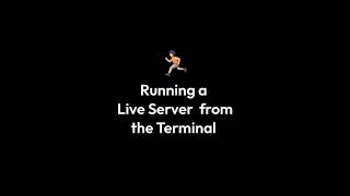 Running Live Server with Terminal without installing extensions