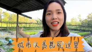 越南农村这里一个月收入200美元，没有任何税费，你们想搬来吗？
