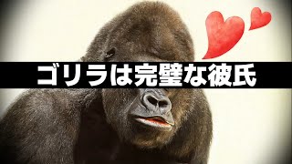 ゴリラが完璧な彼氏すぎる