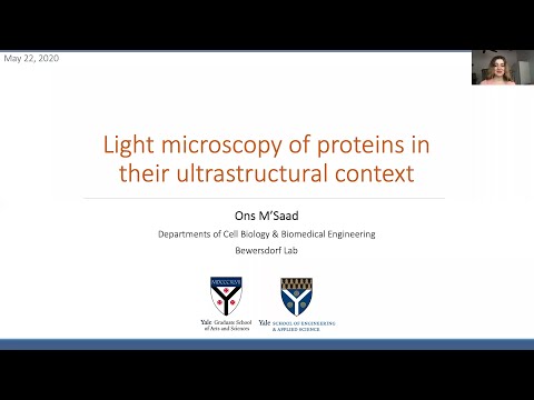 Light microscopy of proteins in their ultra-structural context