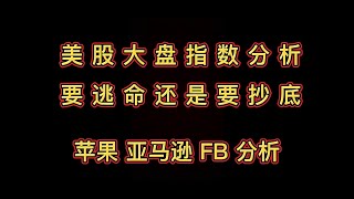 美股大盘指数分析 是要抄底还是要逃命呢，苹果 亚马逊 FB分析