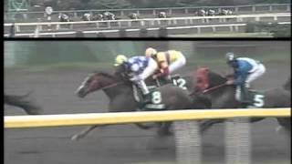 2003 かしわ記念（スターリングローズ）