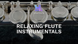 Flute Type Beat / Flute Trap Beat Mix 2021 | TRAKTRAIN Pulse
