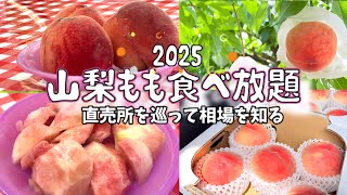 [Yamanashi Peach Trip] 2025 Peach Picking & All-You-Can-Eat Event Begins! We visited the direct s...