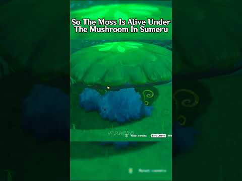 So The Moss Is Alive Under The Mushroom In Sumeru #genshinimpact