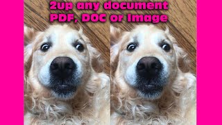 How to 2up a document pdf, doc, images and more | quick and easy!