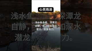 心灵鸡汤第二十三口   #现实生活中的名言 #感情 #分享  #情感