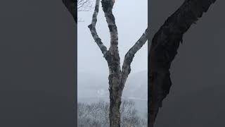 snowy lake 北海道摩周湖