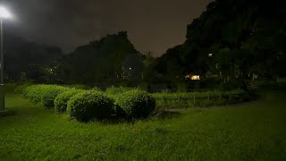 【4K Live】Night Funabashi walk - from Funabashi station to Gyoda park and beyond
