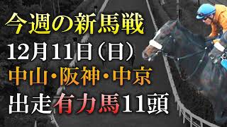 【新馬戦】国枝厩舎の億超えハーツ産駒・サトノロワ登場！12月11日(日)の新馬戦に出走予定の有力2歳馬11頭を紹介します！【最終追切】【pog22-23】