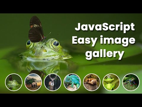 How To Create Image Gallery In Javascript , HTML and CSS with thumbnail