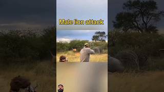 Mail Lion Attack #huntlife