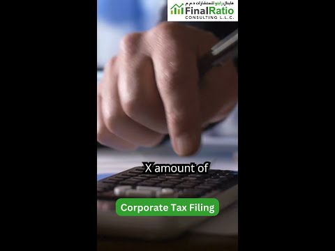 Corporate Tax Filing.mp4